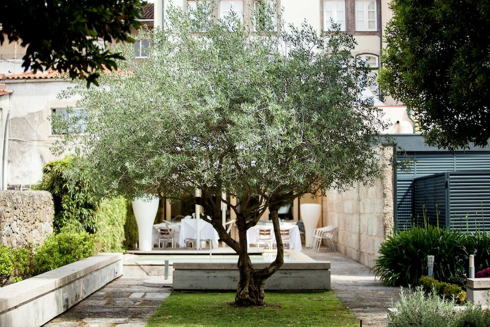 Фото Hotel Bracara Augusta