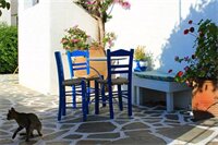 Фото Pelagos Studios