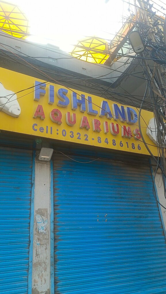 Aquariums Fishland aquariums, Lahore, photo