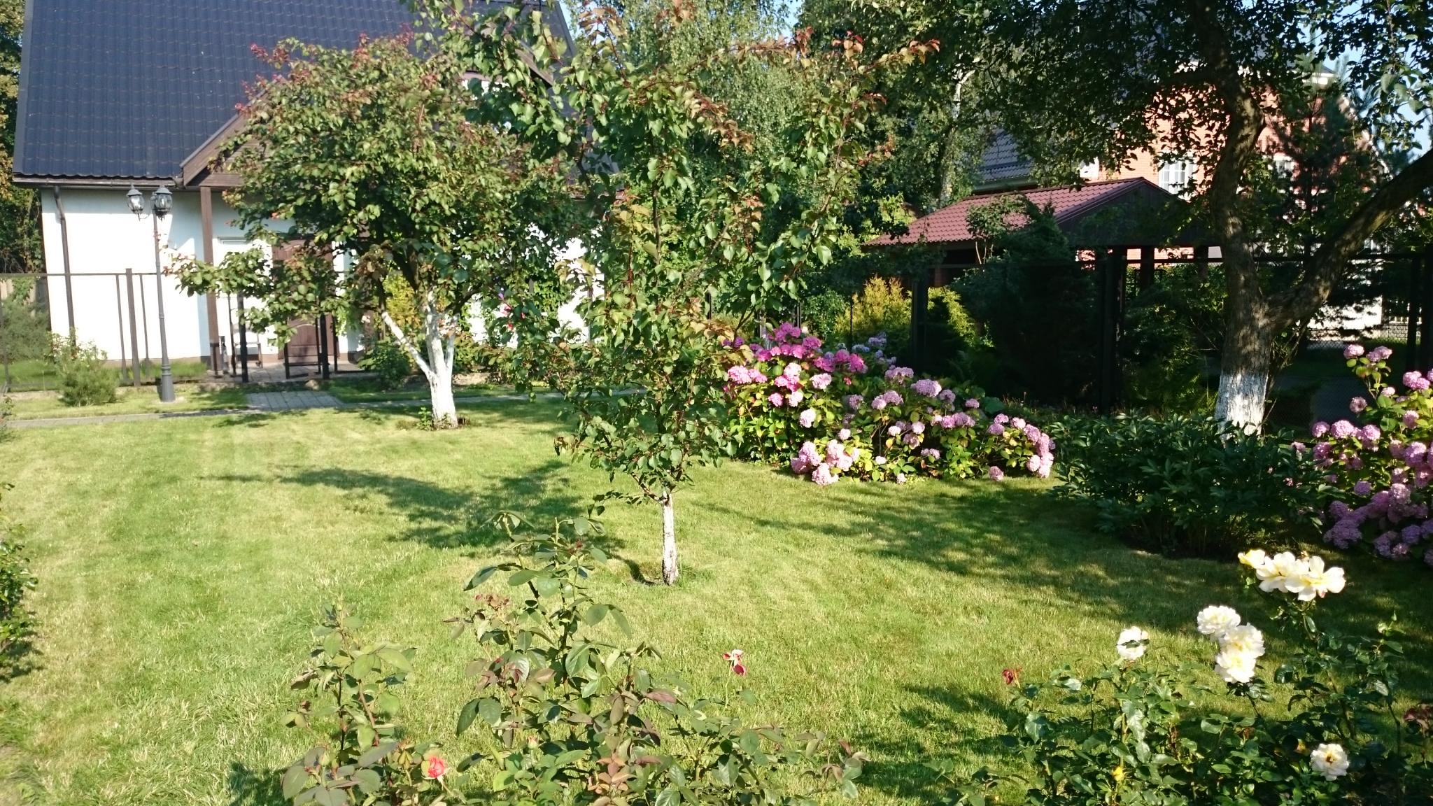 Фото На Каштановой