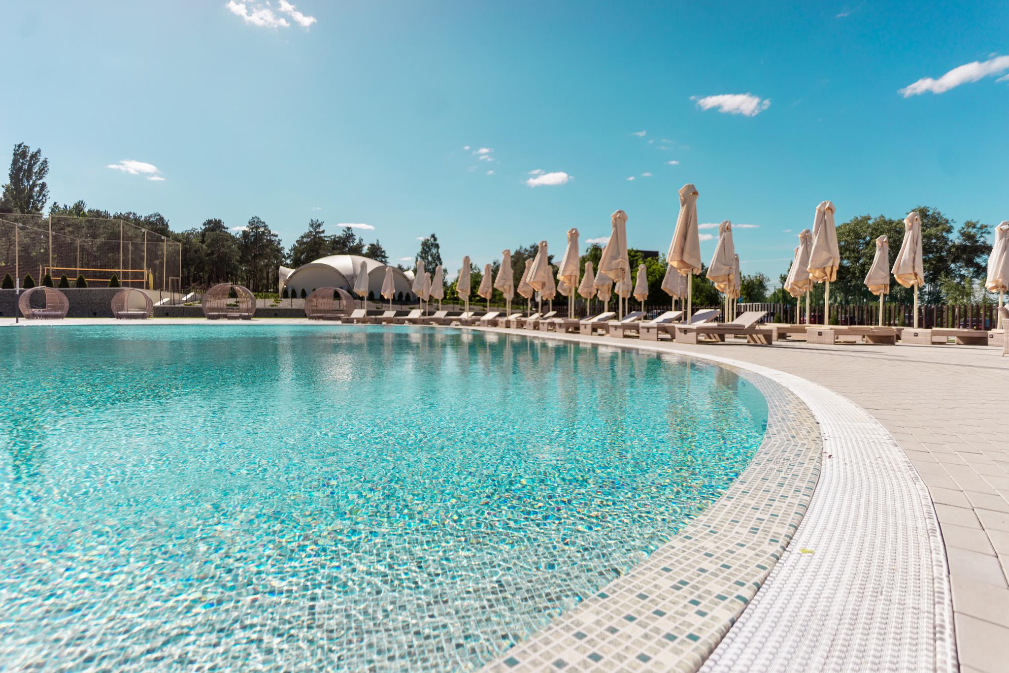 Фото Наша Хвоя