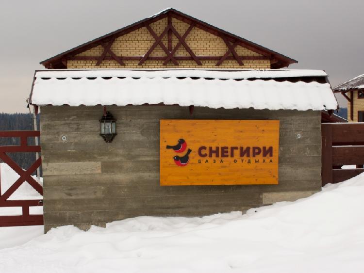 Фото Снегири