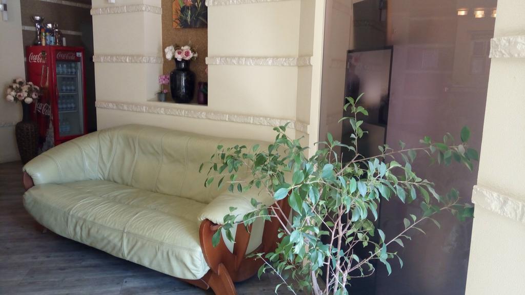 Фото Стрекоза