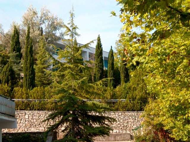 Фото Альбатрос