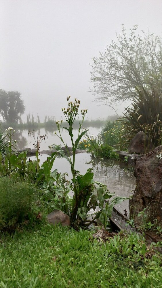 Фото Sítio Cogumelos Montanhês