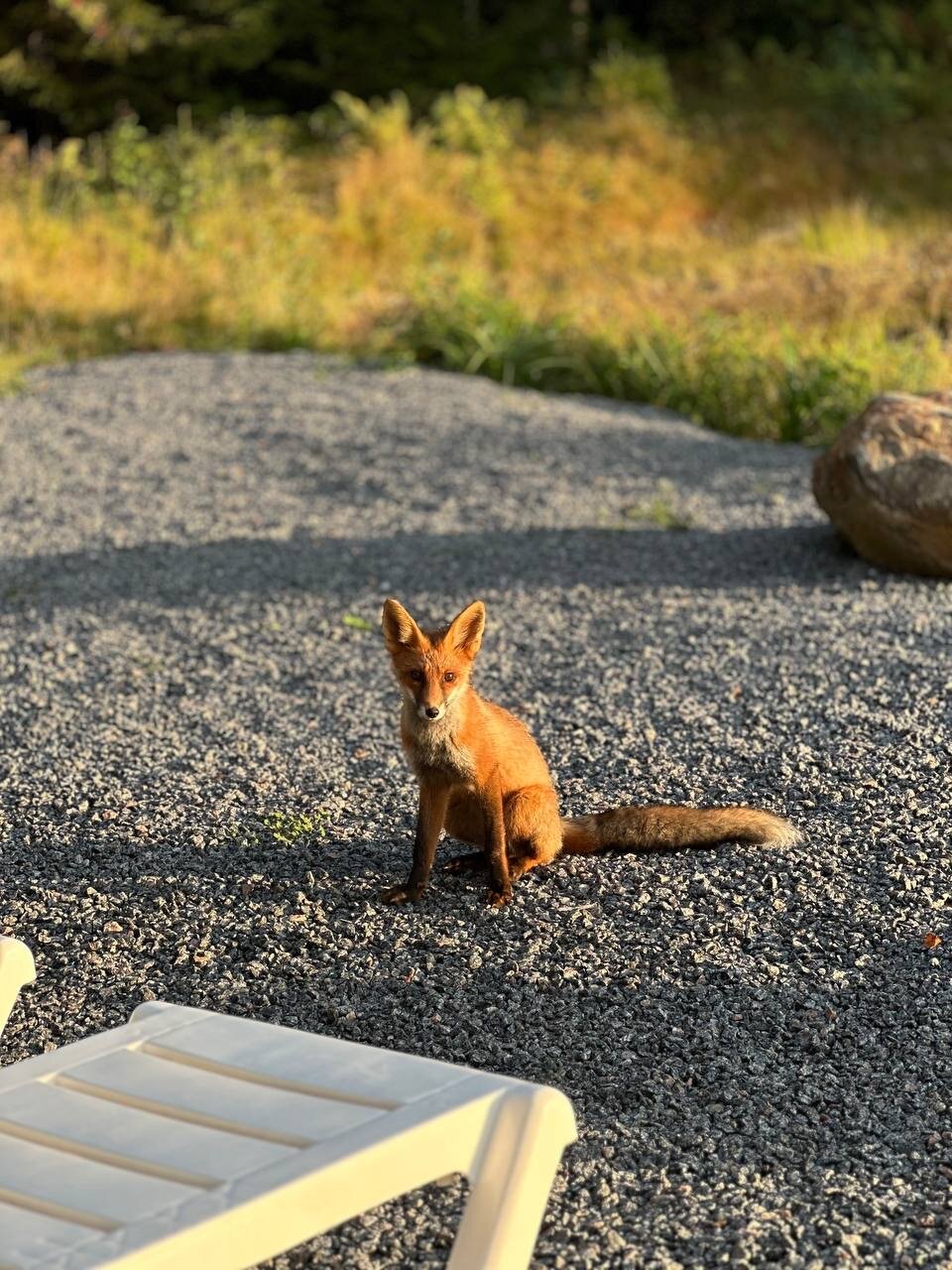 Фото Йокихутор