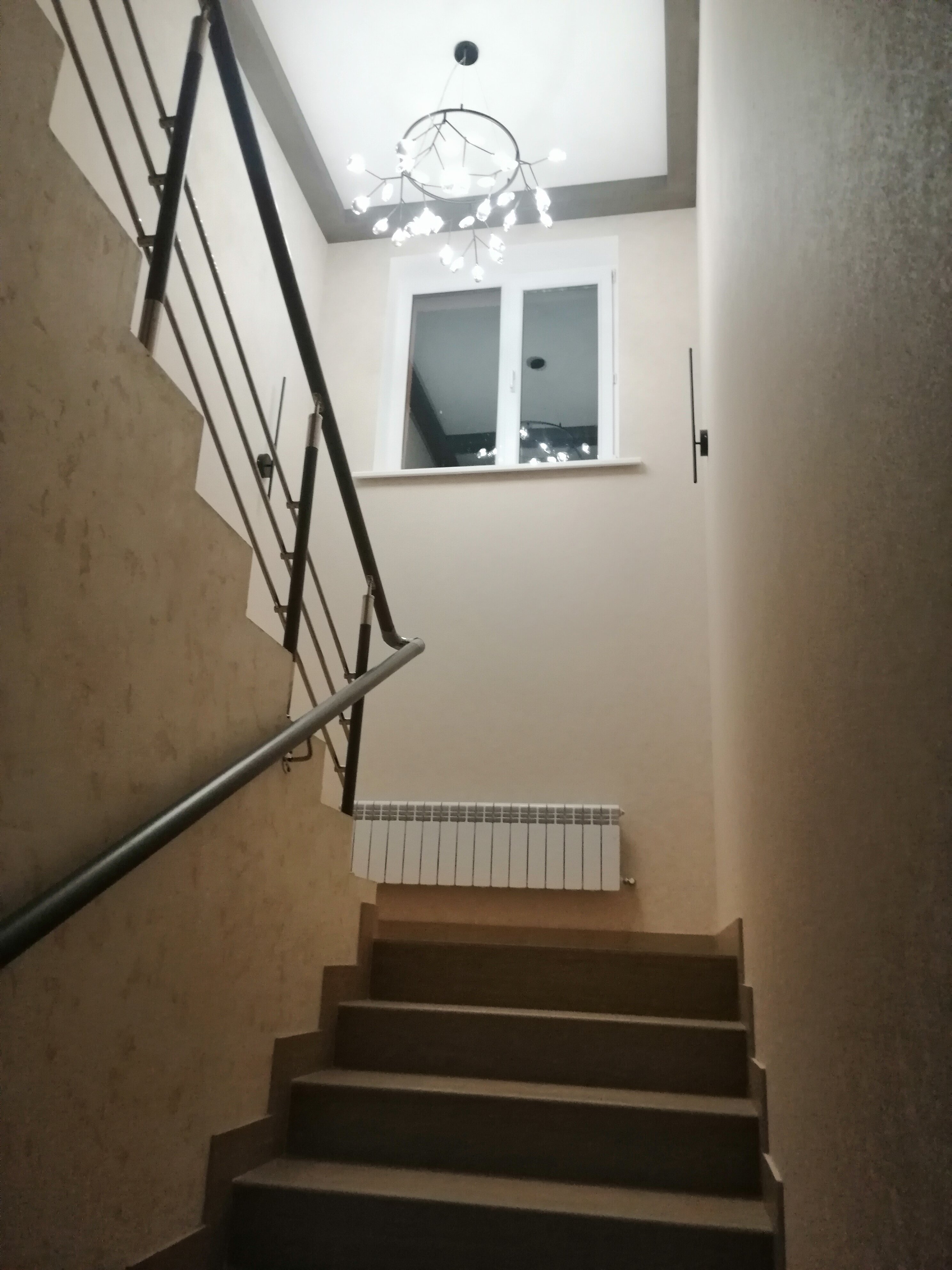 Фото Тельман