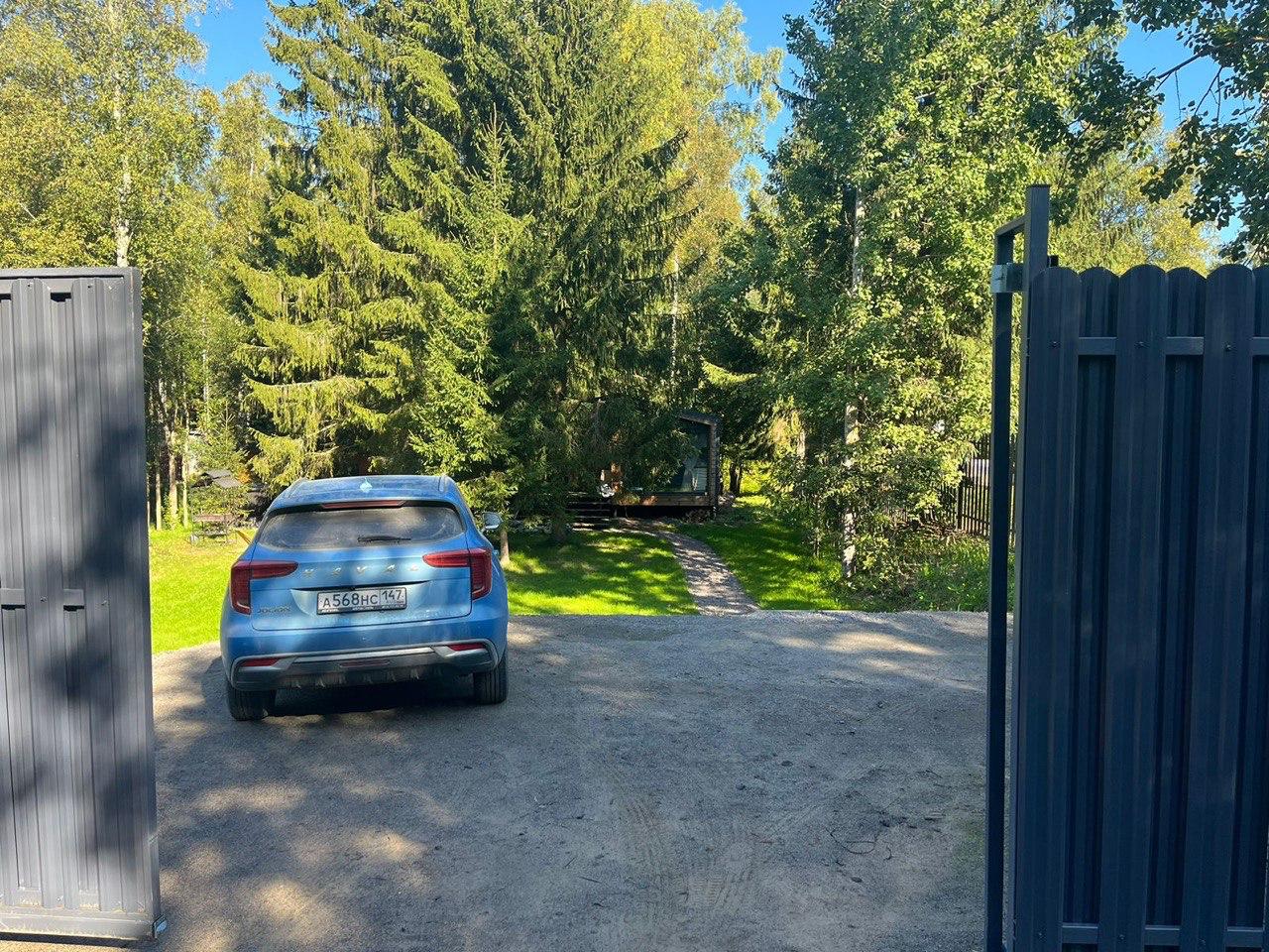 Фото ЁлкИголки