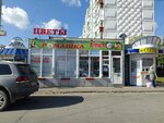 Ромашка (Lenina Avenue, 46/2), flower shop