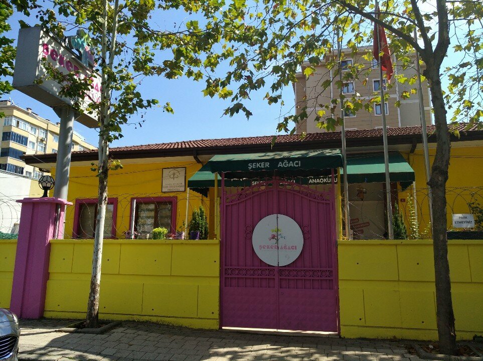 Jardín de infancia, guardería Özel Sancaktepe Şeker Ağacı Anaokulu, , foto