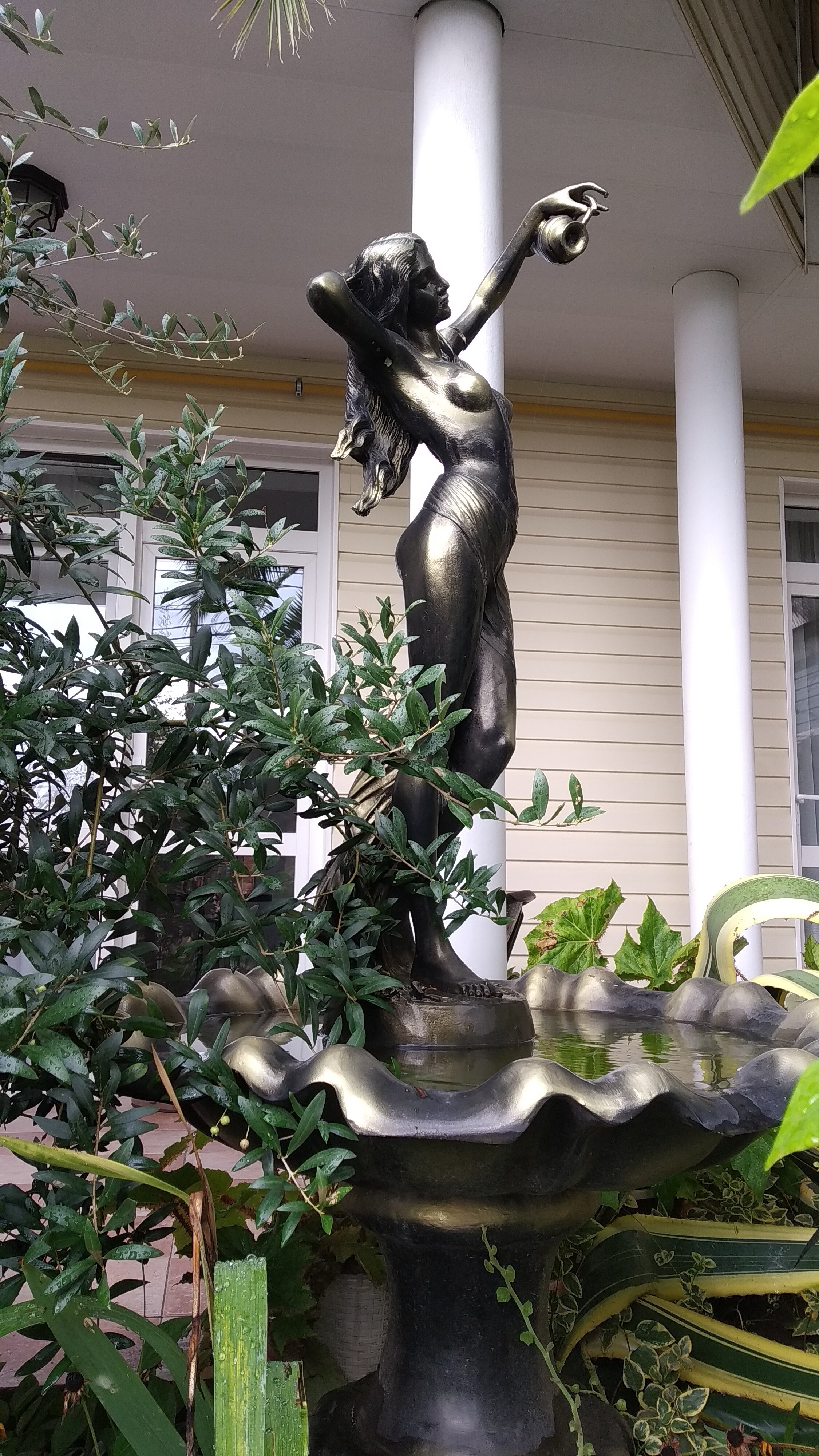 Фото Сарисса