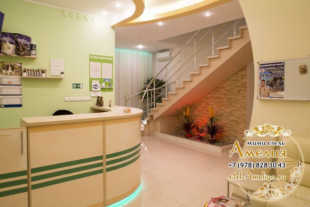 Фото Амелия