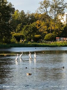 парк Ижора (Leningrad Region, Gatchinskiy District, Kommunar, park Izhora) ، منتزه