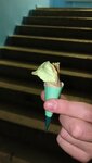 33 pingvina (ulitsa Ostrovskogo, 16), helado