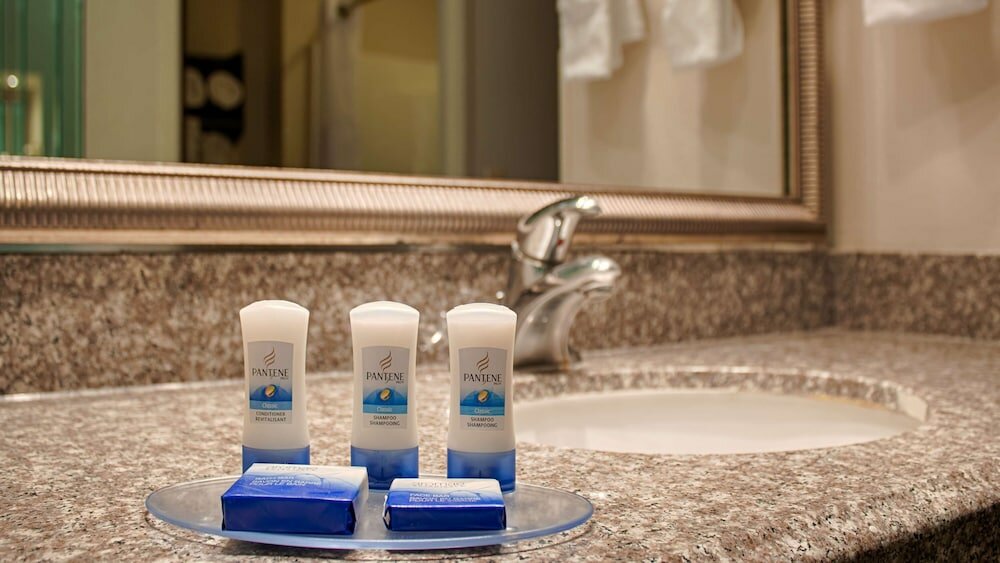 Фото Best Western Plus O'Hare International South Hotel