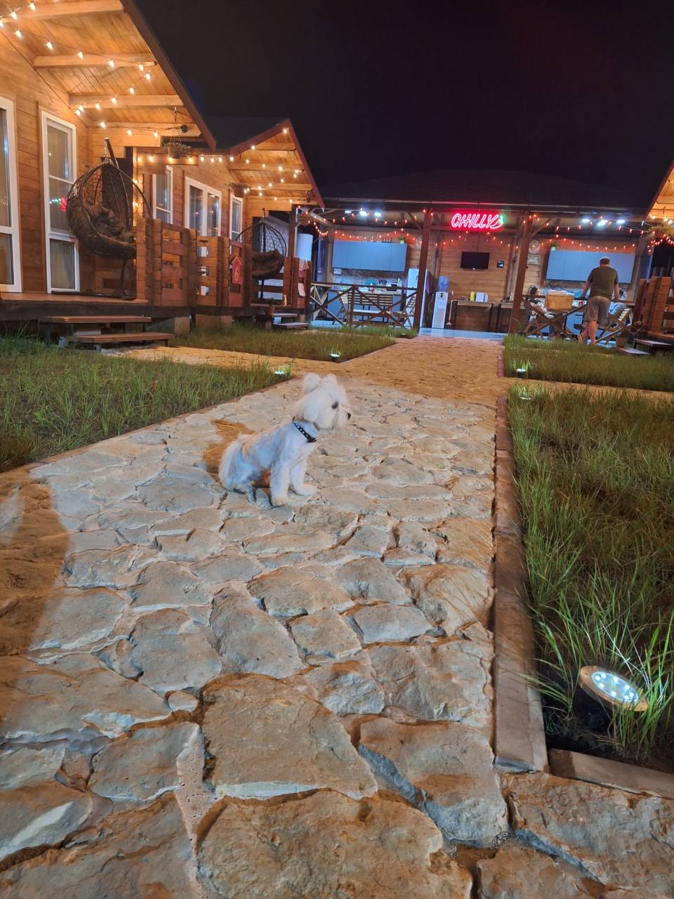 Фото Гестхаус Chilly