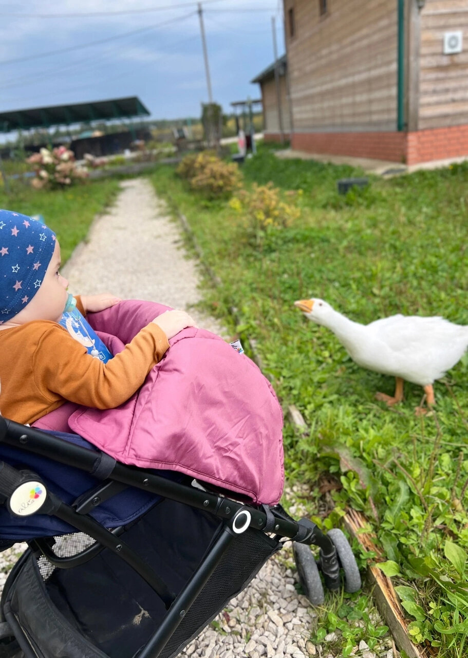 Фото Семейная экоферма