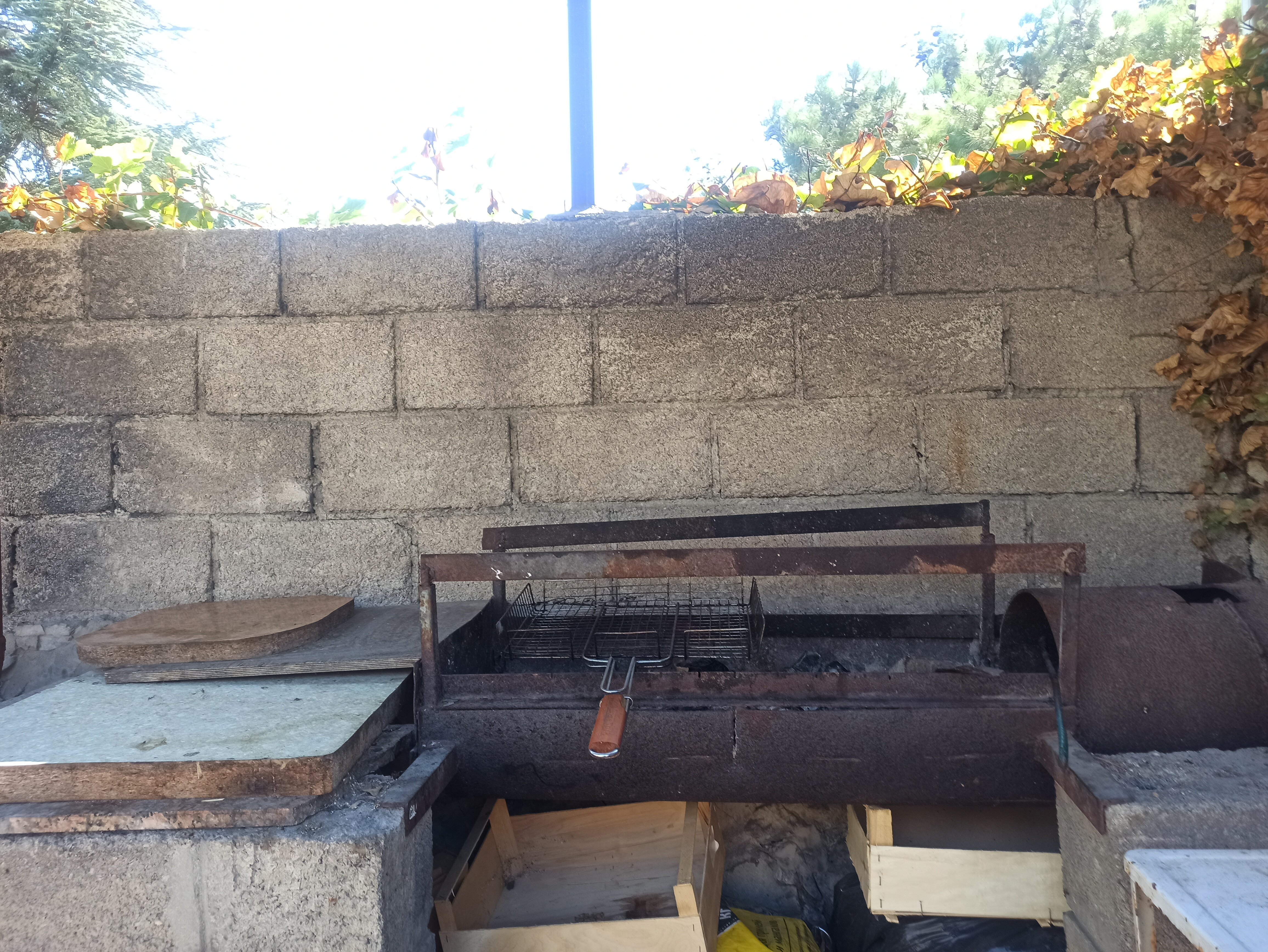 Фото Лесной уют