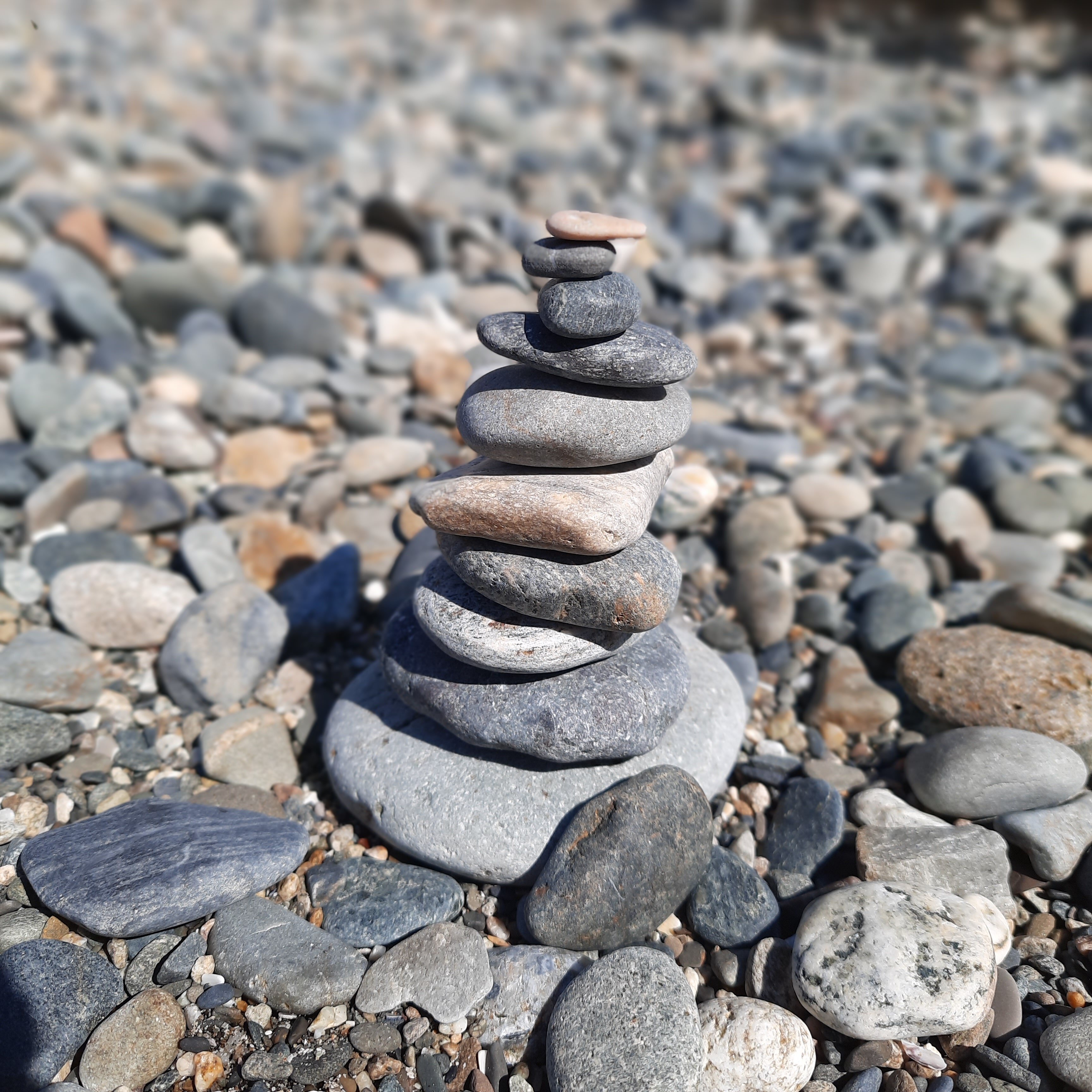 Фото Даниель