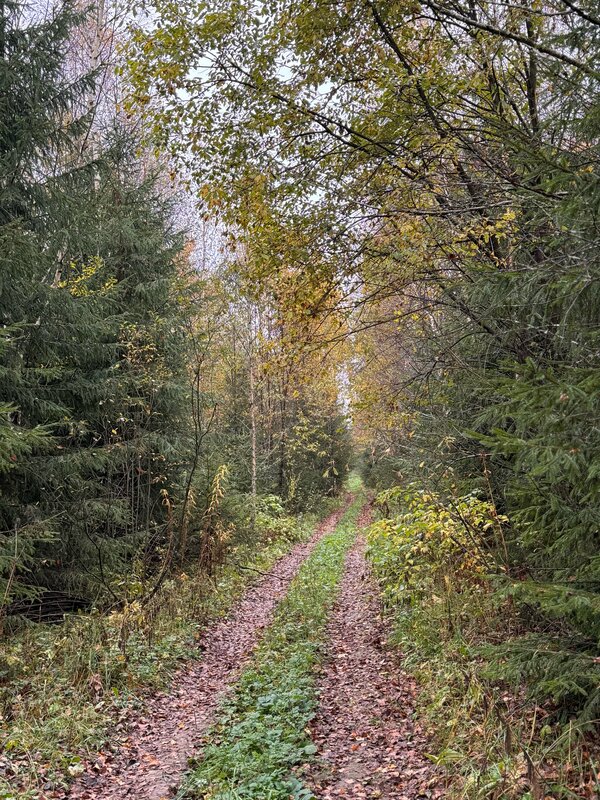Вудхаус — фото 22