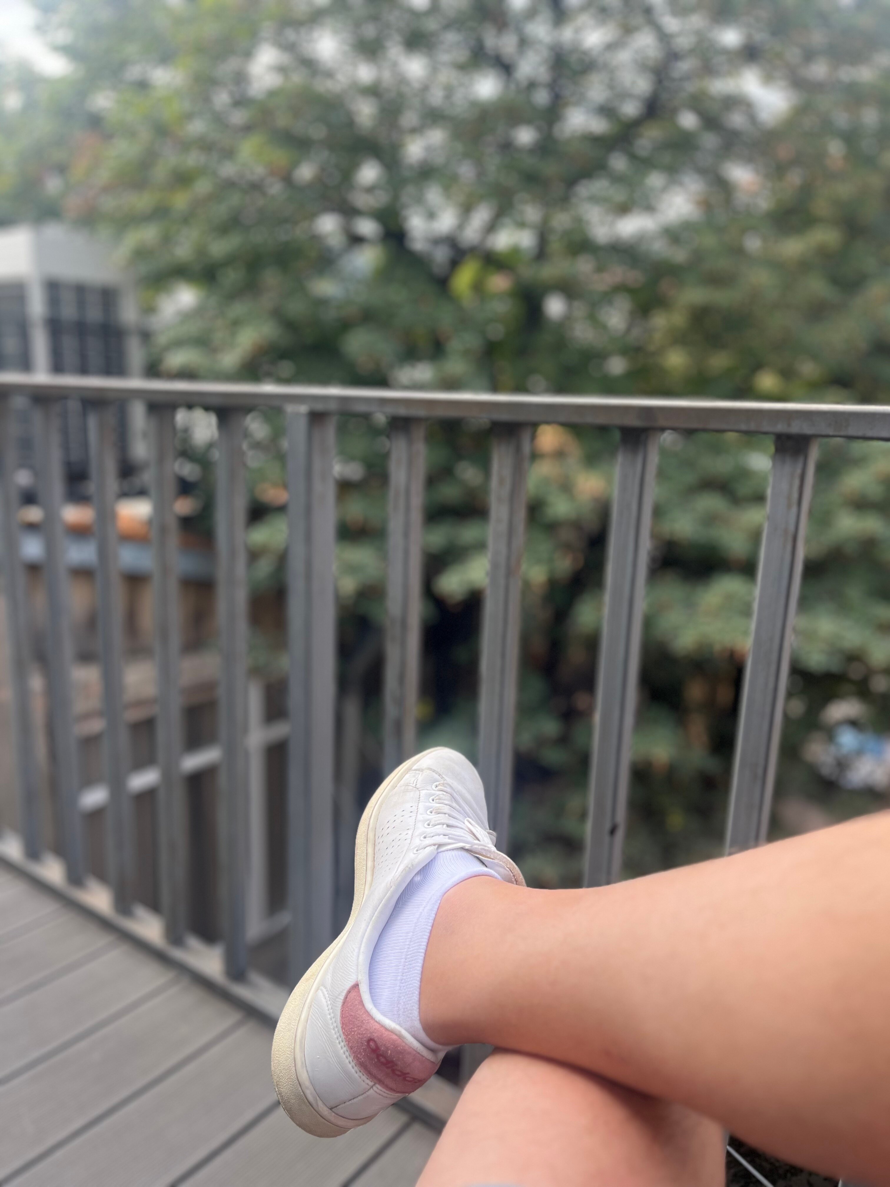 Фото Gladius Inn