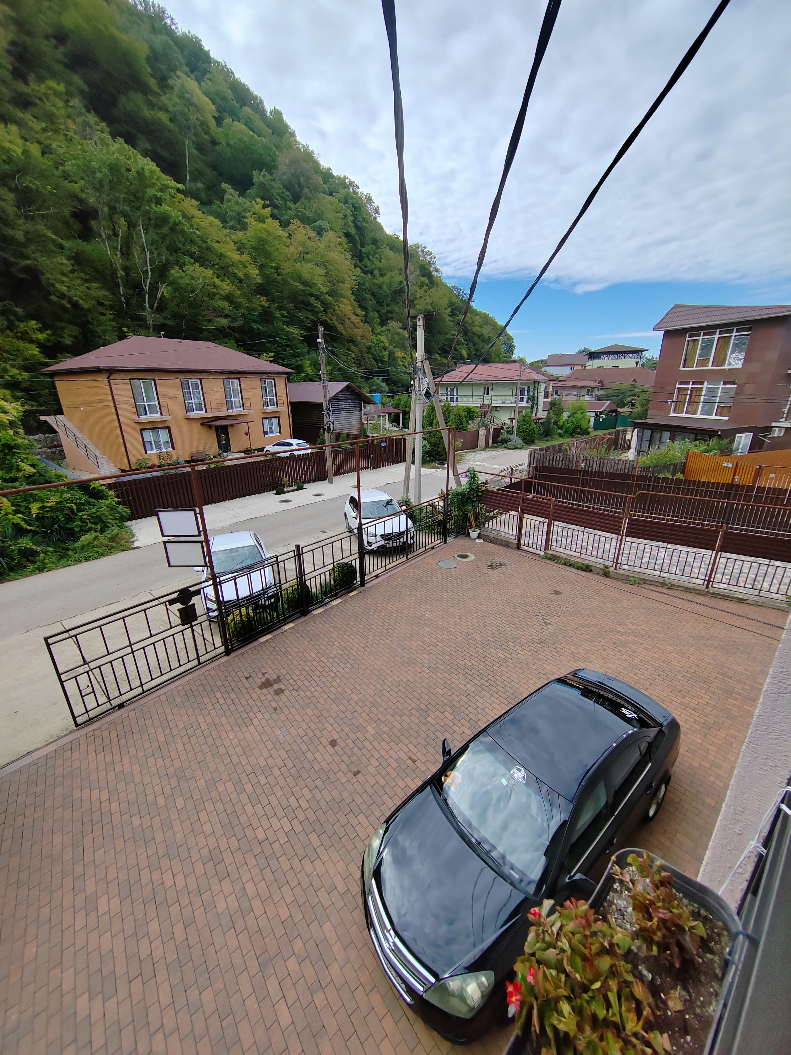 Фото Вероника