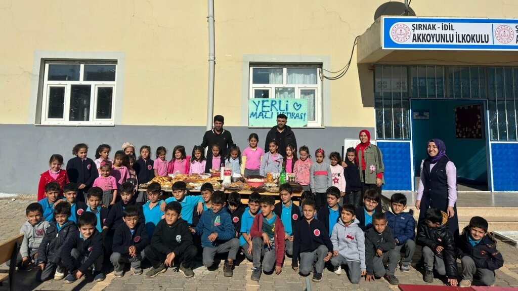 School Akkoyunlu Middle School, Idil, photo