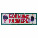 Одежда больших размеров (Moskovskaya Street, 8А), plus size clothing