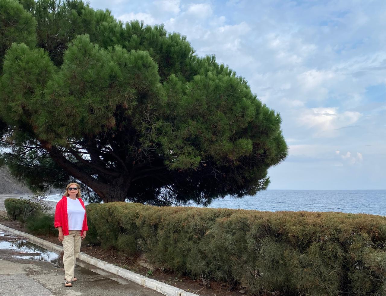 Фото Волна Поднебесная