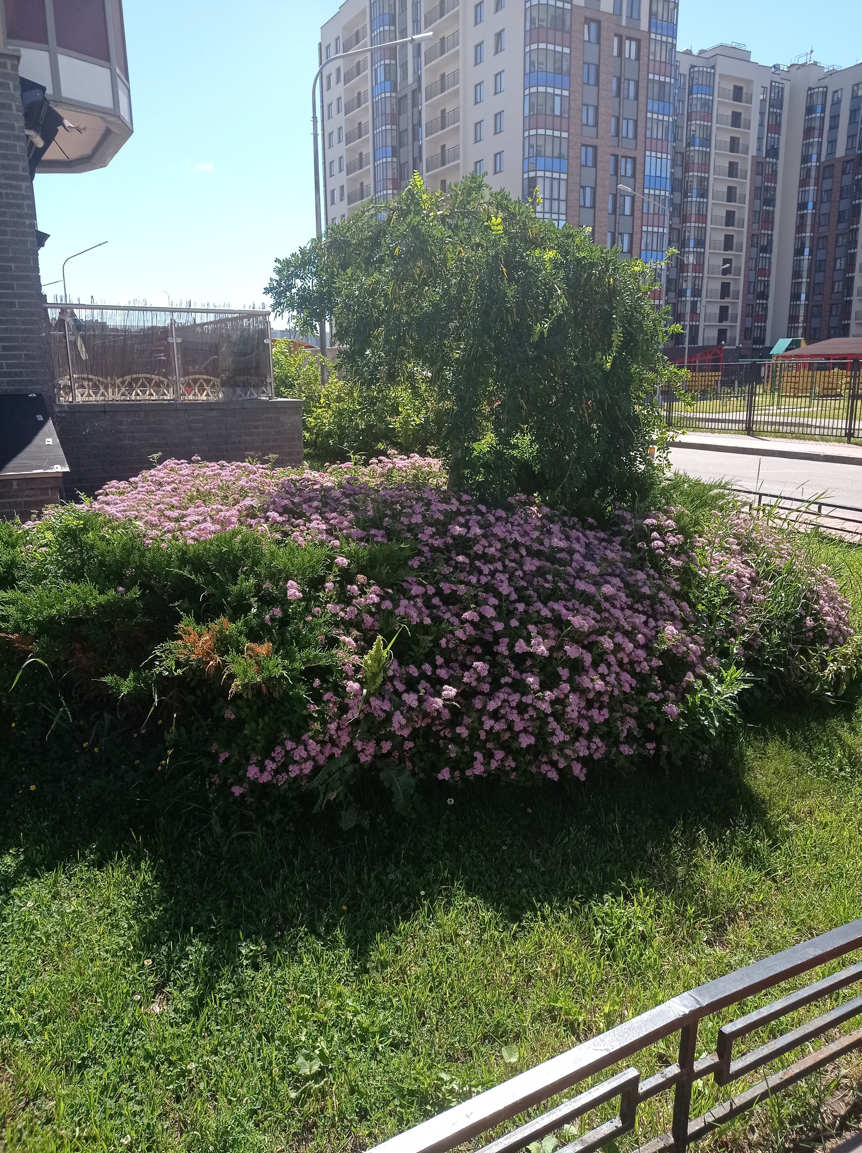 Фото Рэд Виллэдж