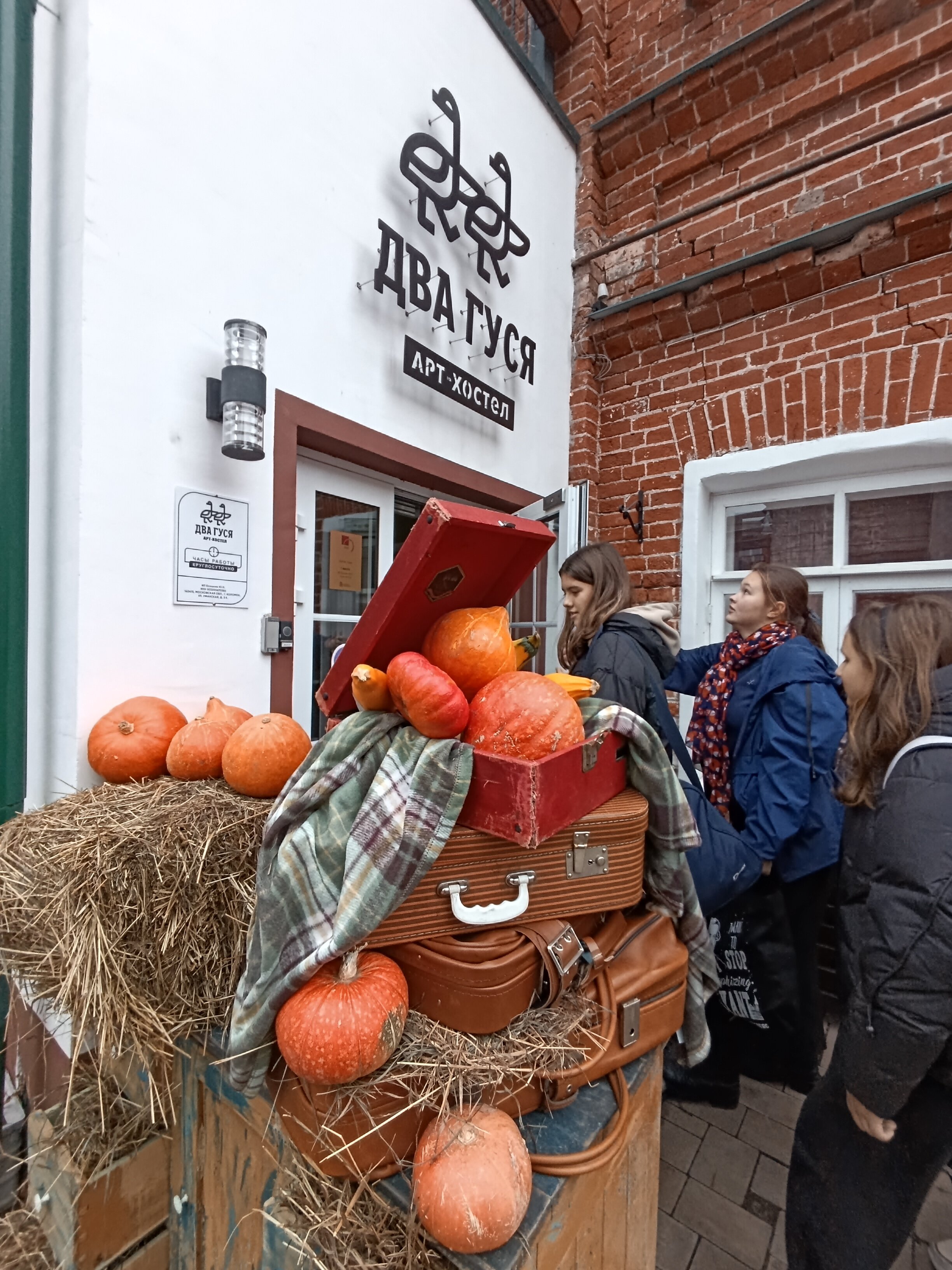 Фото Два гуся