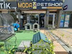 Dutluk Fashion Pet Shop (Ankara Province, Kecioren District, Senlik Neighborhood, Martyr Tolga Akdas Street, 46/1E), oceanarium