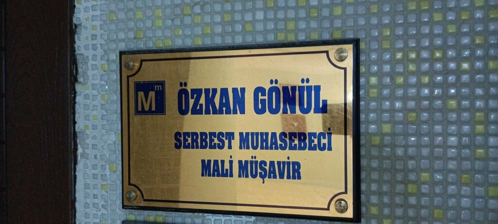 Empresa auditora Serbest Muhasebeci Mali Musavir Ozkan Gonul, , foto