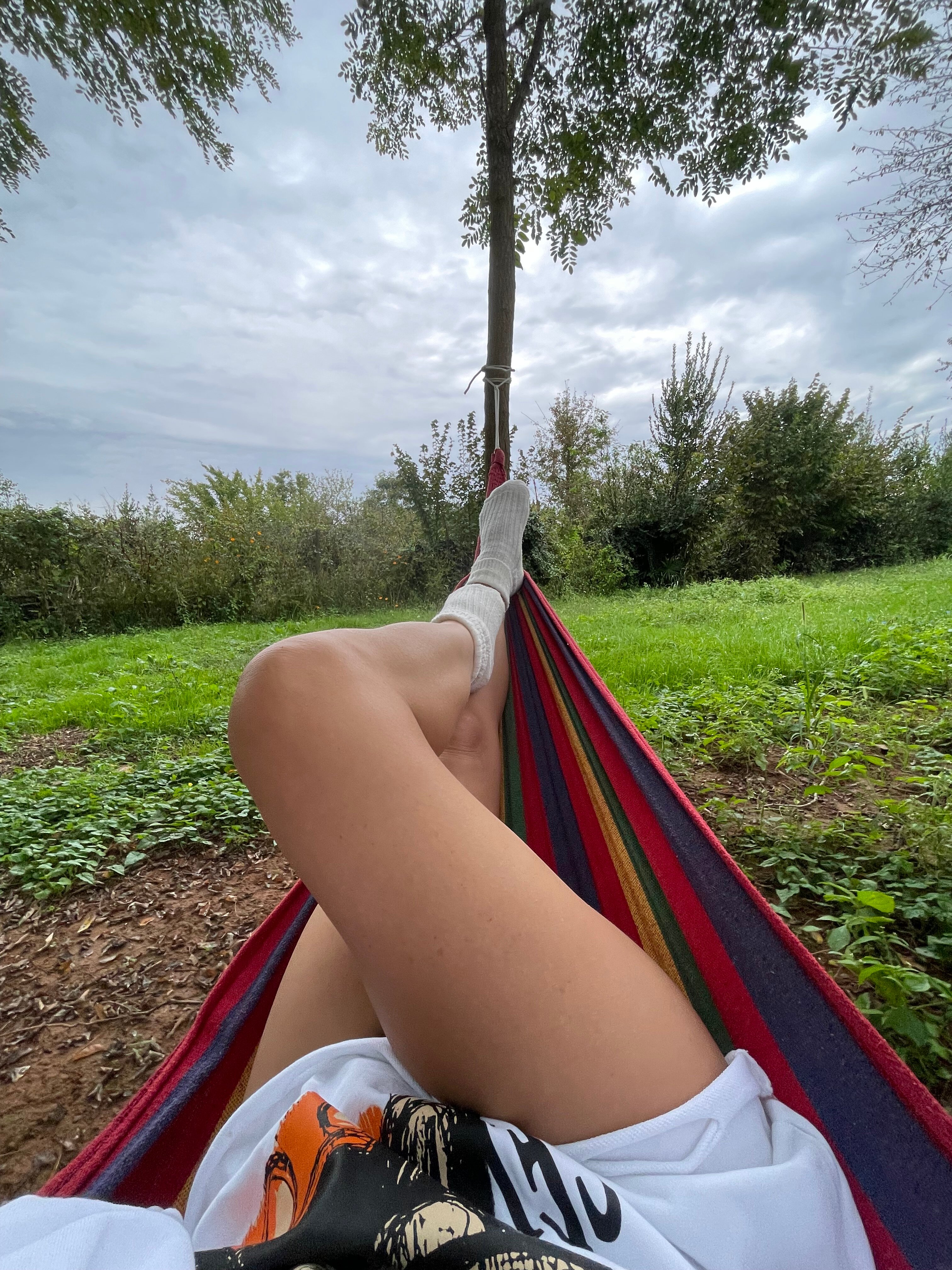 Фото Эко-коттеджи DiAlex