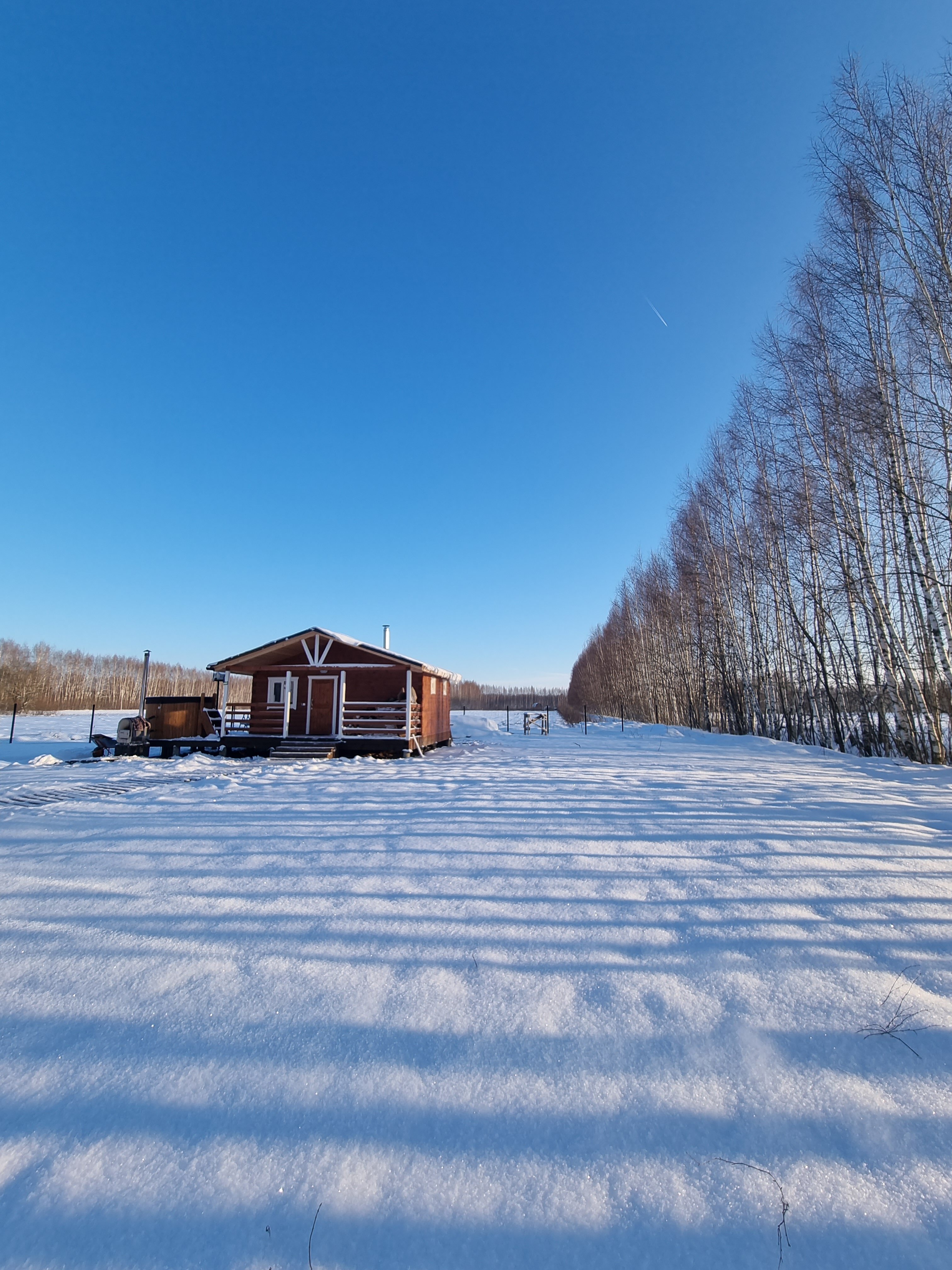 Фото The Поле