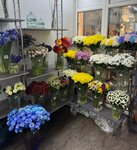 Flowers farm (Ligovskiy Avenue, 225), flower shop