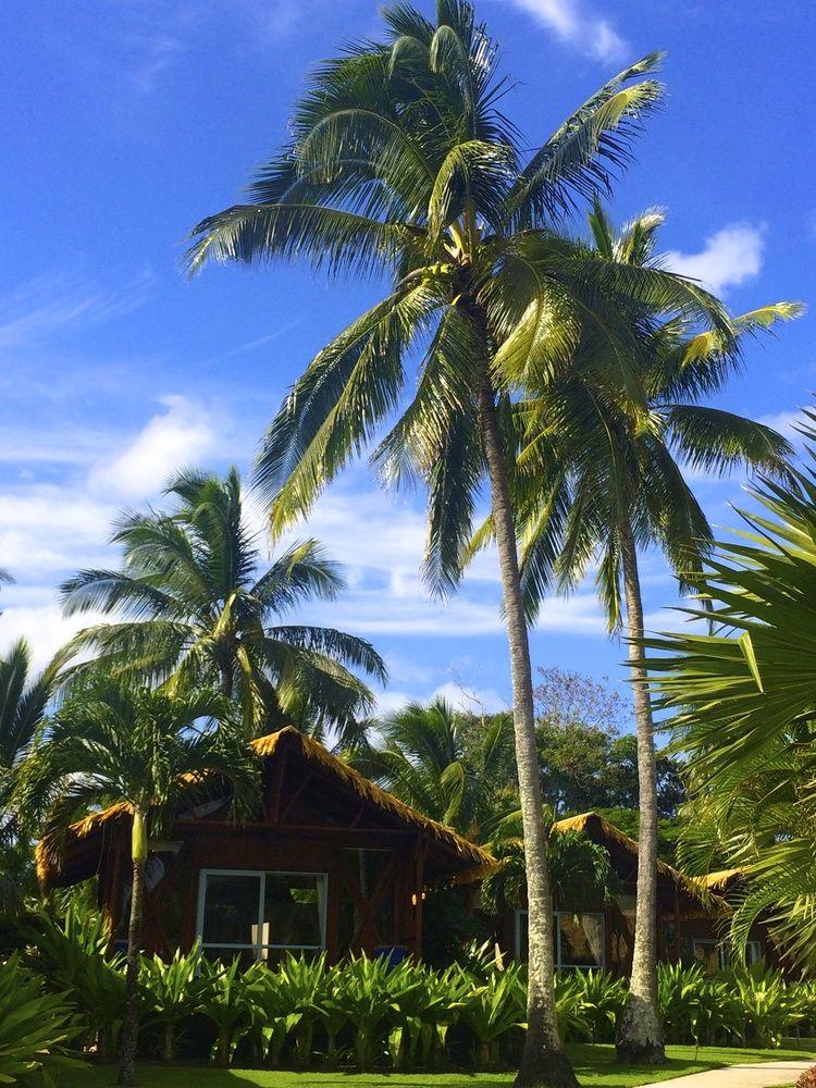 Фото Magic Reef Bungalows