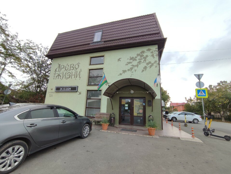 Фото Древо жизни