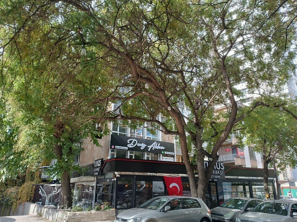 Private practice doctors Prof. Dr. Ali Ergen, Ankara, photo