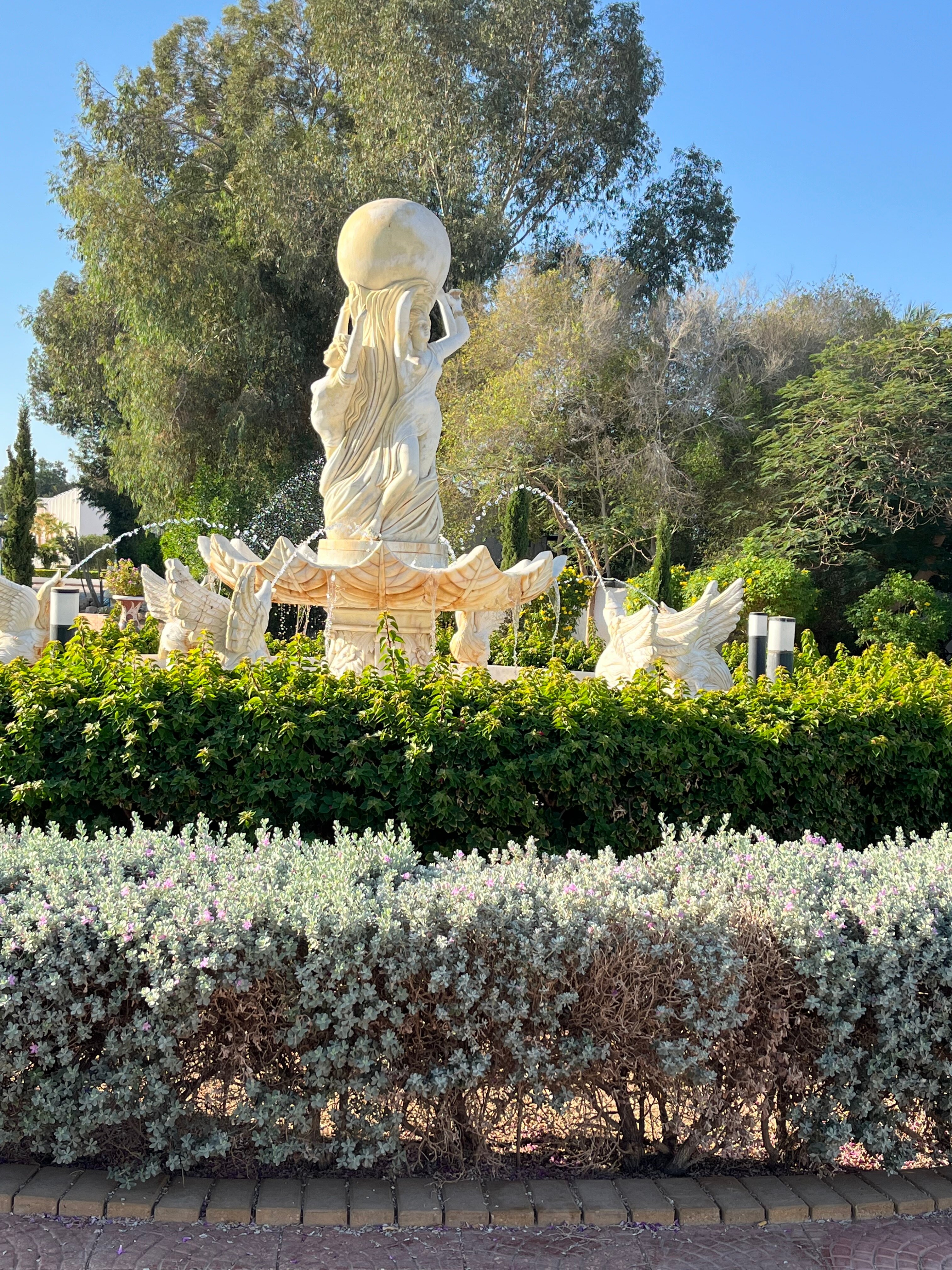 Фото Dreams Vacation