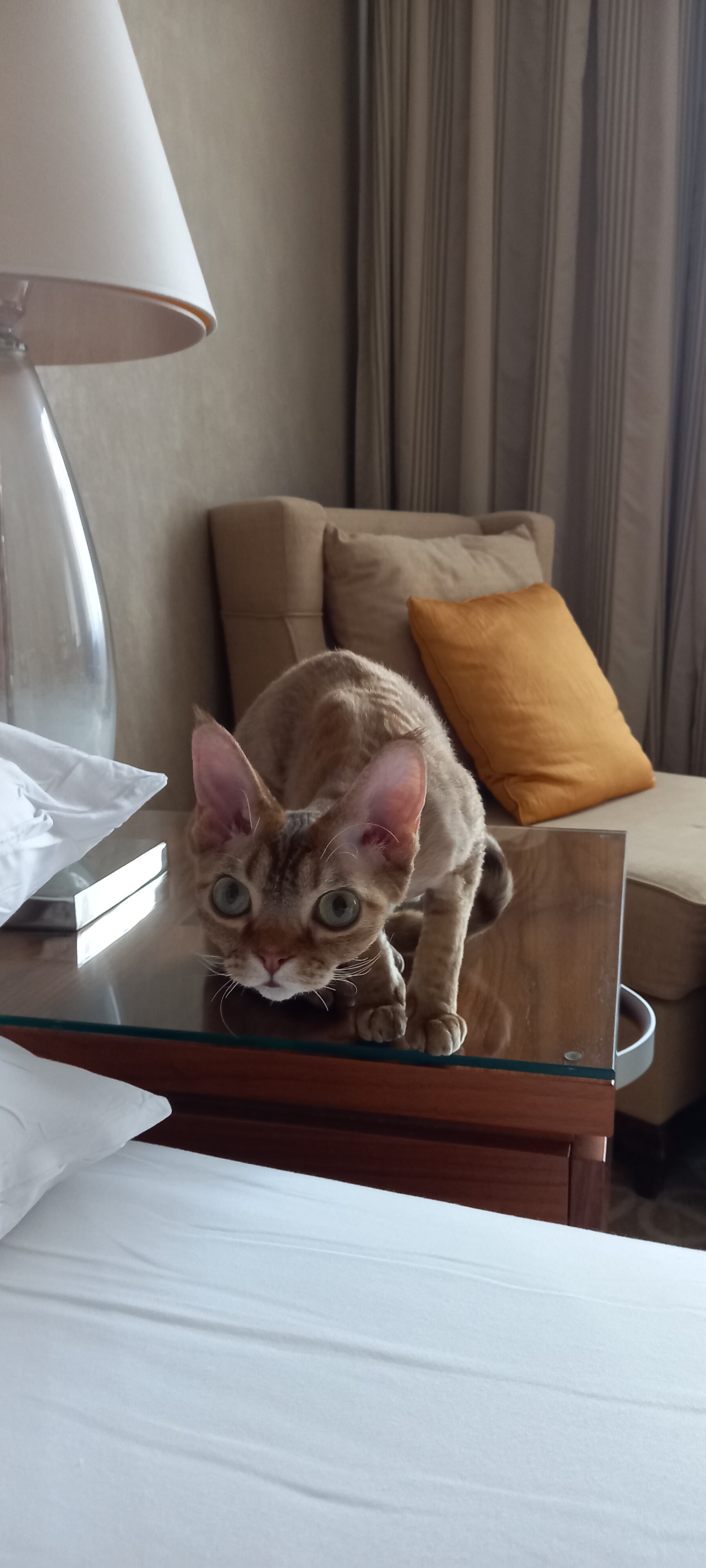 Фото Soderi’s Residence & SPA