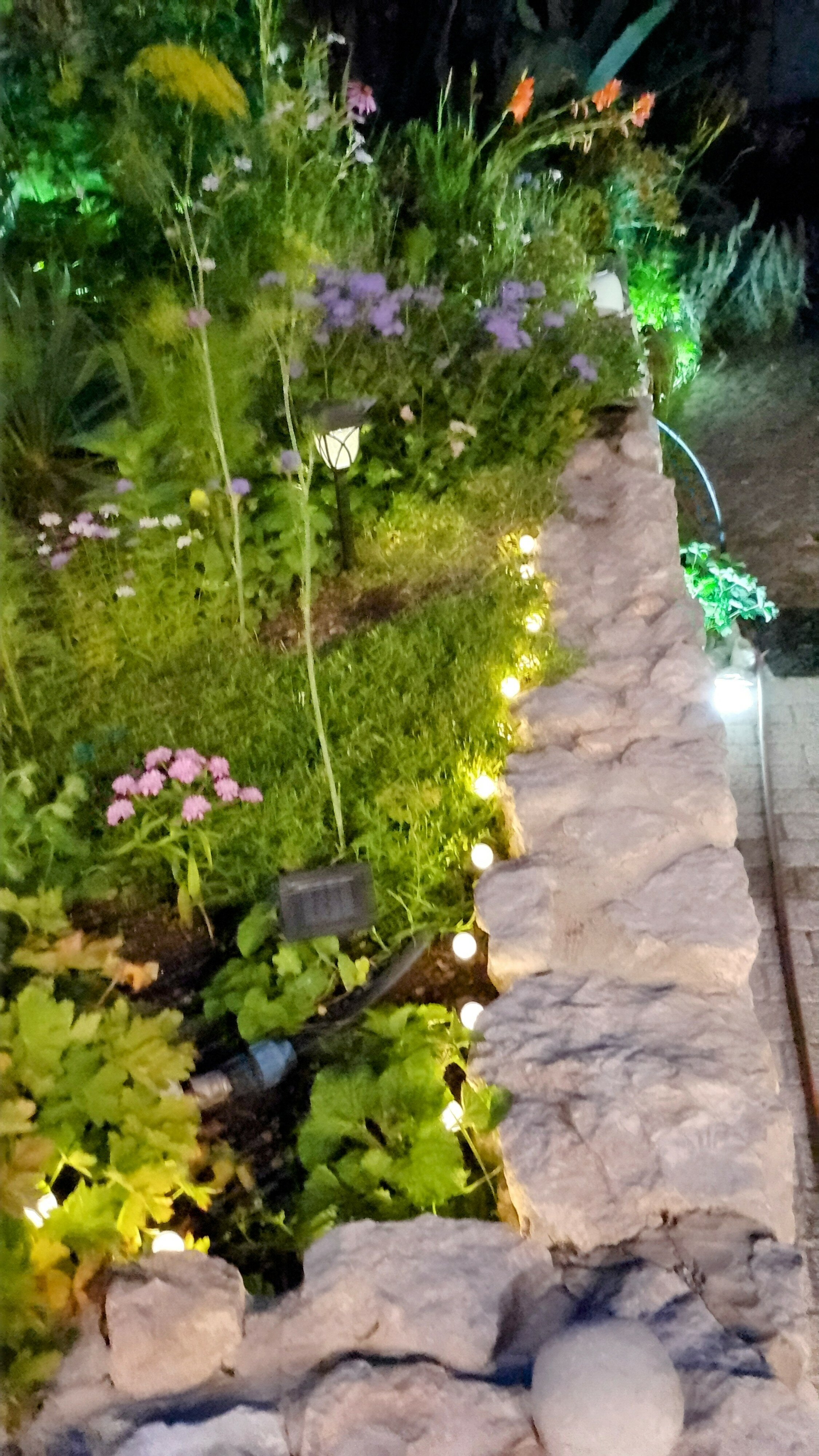 Фото Дача Аракина