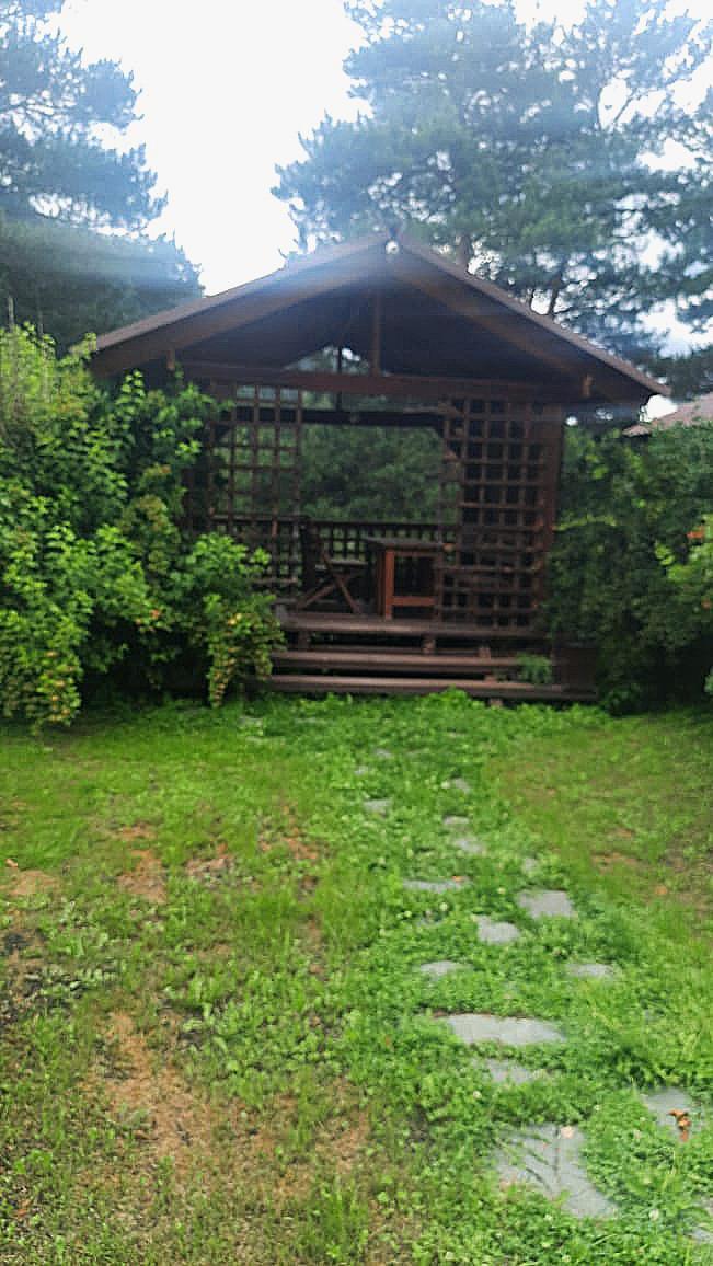 Фото Индиго