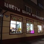 Цветы Шары Игрушки (Kommunisticheskiy pereulok, 73) ، محل زهور