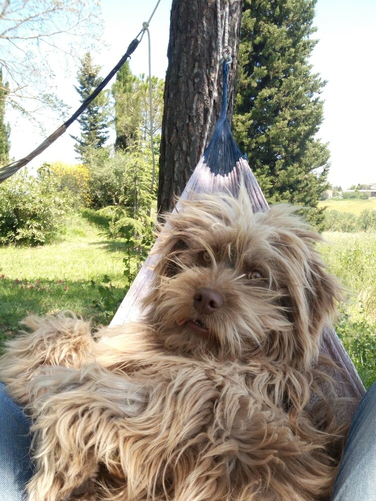 Фото Fonte Pecciano 1856