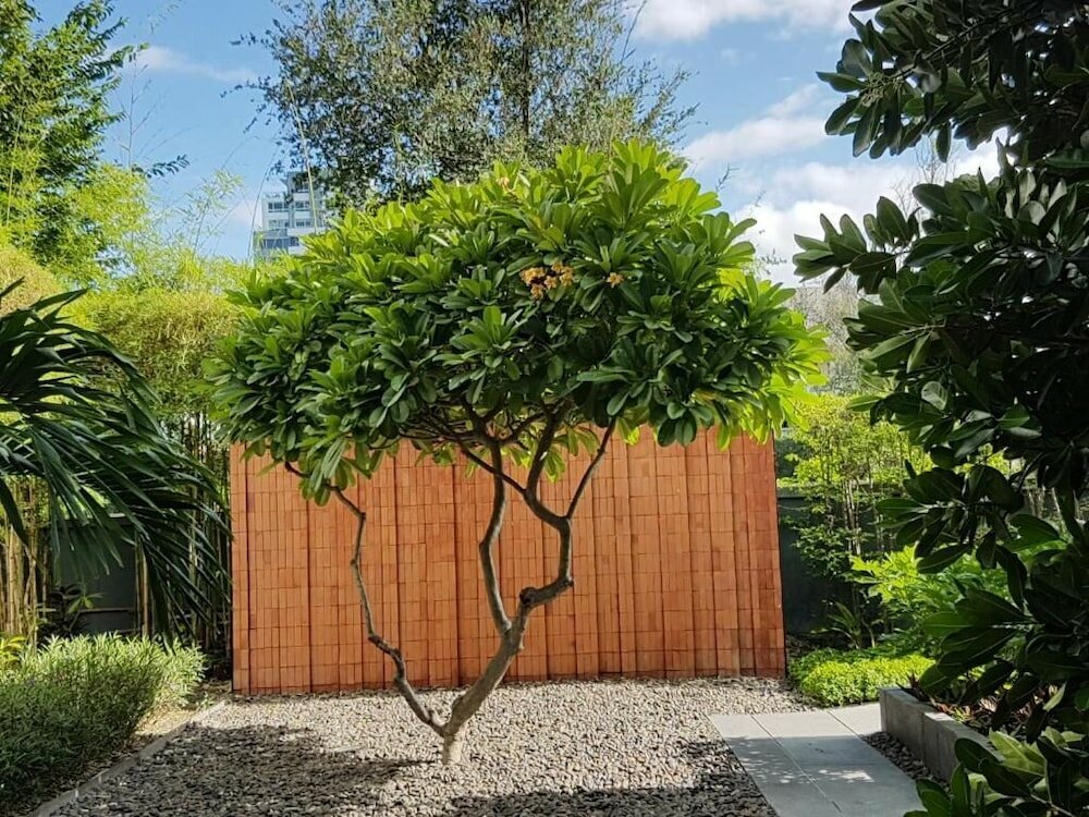 Фото Baan Sandao Condo