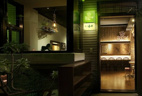 Гостиница SpringTree B&b