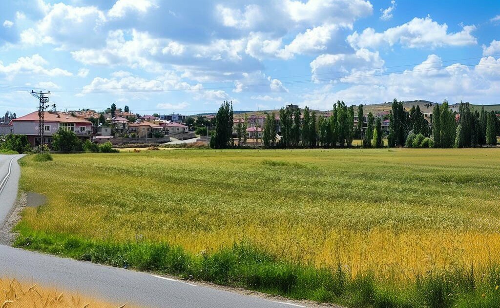 Mosque Ovalibag Village Mosque, Ciftlik, photo