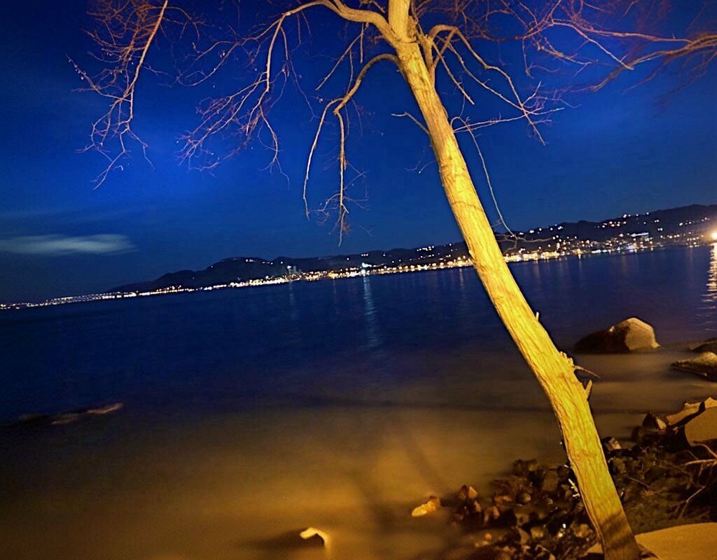 Grocery Sahil Market, Unye, photo