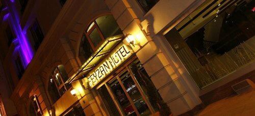 Гостиница Feyzan Hotel в Чоруме